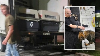 Several police dogs die when air conditioning breaks down during nightmare traffic delay