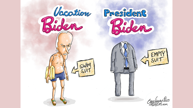 Political cartoons of the day