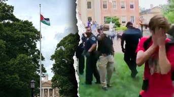 Anti-Israel agitators rip down American flag, police deploy pepper spray at UNC Chapel Hill