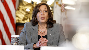 Voters give 'brutal' assessment of Kamala Harris' job performance