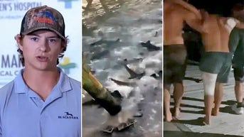 Man survives being attacked by pair of sharks after 'apex predator' pulls him underwater