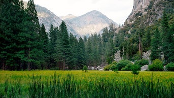 Unruly visitors at national parks are causing damage that may take centuries to undo - Fox News