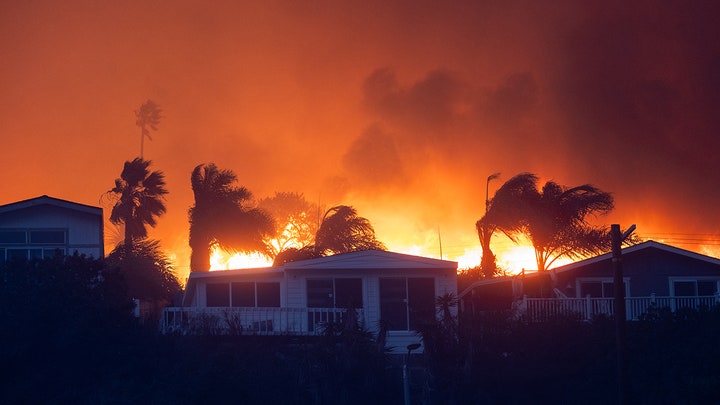 fire palm trees - Fox News