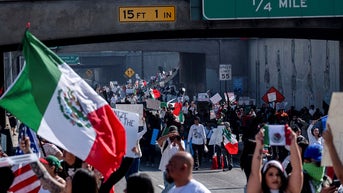 protesters on freeway with overpass - Fox News