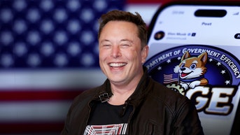 Musk's DOGE takes aim at 'viper's nest' federal agency with global footprint - Fox News