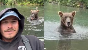 Fisherman explains how he de-escalated encounter with brown bear and her cubs - Fox News