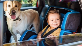 Thanksgiving 2020: 56% of Americans still plan to travel, study claims