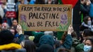 A pro-Palestinian activist holds up a sign reading &apos;From The River To The Sea Palestine Will Be Free&apos; during a protest in London in November 2023.