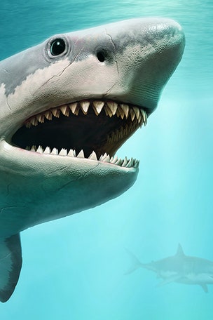SHOCKING theory on how Megalodon died