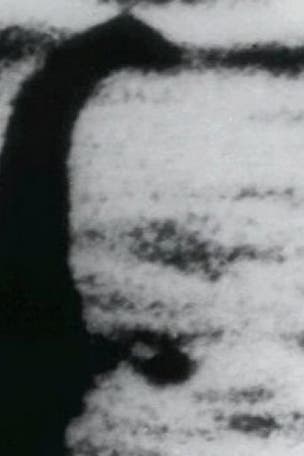 Loch Ness Monster spotted?