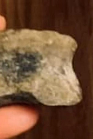 First-ever Oregon dinosaur bone found
