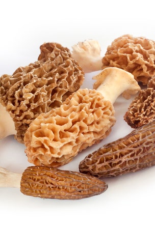 Woman died after eating mushroom dish: report