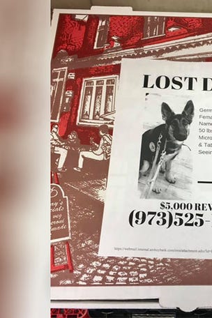 Pizza shop starts heartwarming initiative