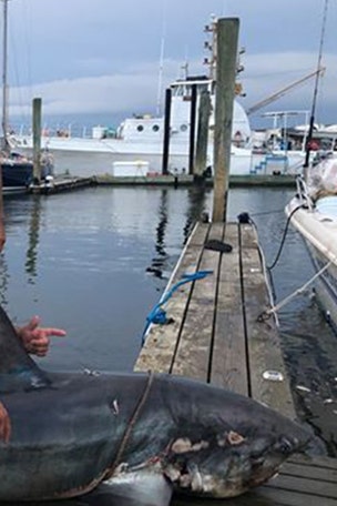 Fishermen won't let it go to waste