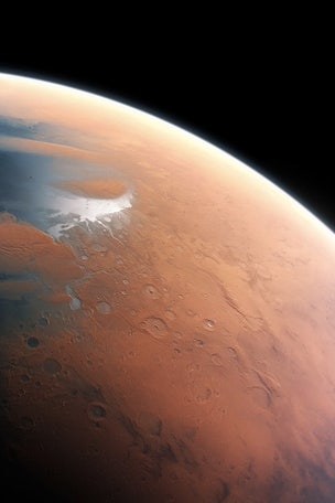 NASA scientist: Alien life found on Mars