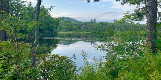 "The New Hampshire environmental community is very strong and Democrats seem to respond to environmental issues much more than they would probably in other parts of the country," said The New Hampshire Institute of Politics Executive Director Neil Levesque. Scenic landscapes like this lake near Ossipee, N.H. are easily accessible across the state to residents. (Allie Raffa/Fox News)