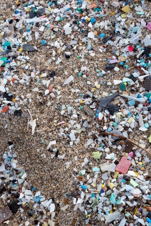 Tampa Bay contains 4 billion pieces of THIS