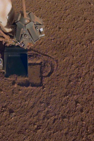 Reptile-like creatures on Mars?
