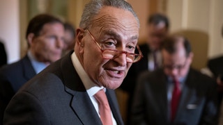 TSA bans employees from using TikTok on behalf of agency following Schumer's complaints