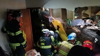 Tree crushes man on couch in Washington