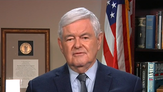 Gingrich: The Dem party's essence is now 'hate Trump' and giveaways paid for by the rich
