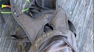 ‘Emaciated’ pit bull corpse found in submerged backpack weighted with dumbbells, police say