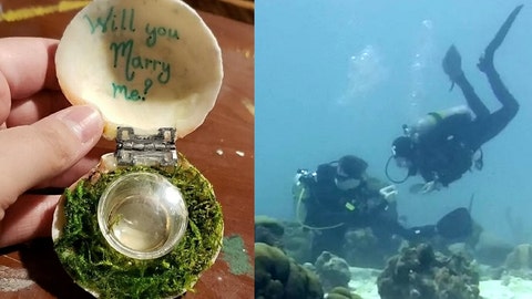 Man shocks girlfriend with underwater proposal in Caribbean Sea