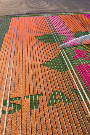 Message visible from the SKY