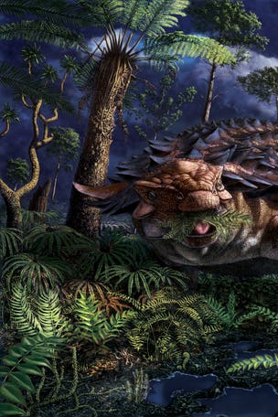 SHOCKING dinosaur discovery made