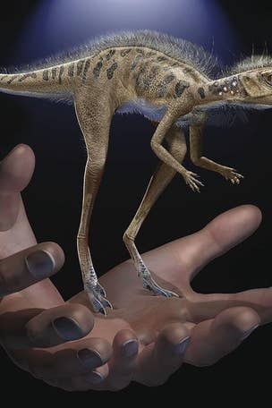 SEE IT: Dinosaur ancestor DISCOVERED