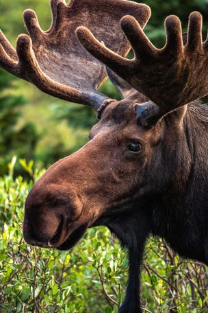Park ranger posts odd warning…