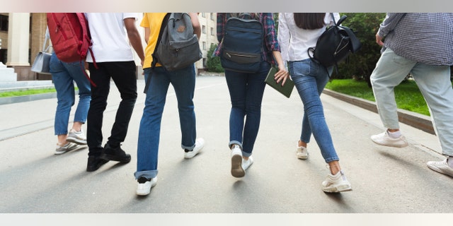 At least a dozen New Jersey students tested positive for coronavirus after attending a party over Labor Day weekend. As a result of the COVID-19 outbreak, Chatham High School has turned to virtual classes for two weeks. (iStock)