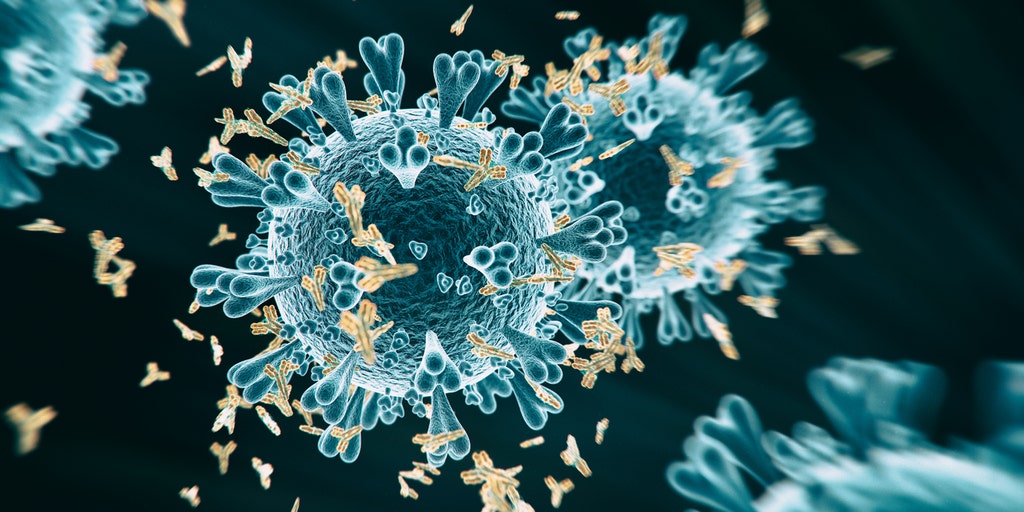 Coronavirus antibodies estimated in less than 5% of French
population: study