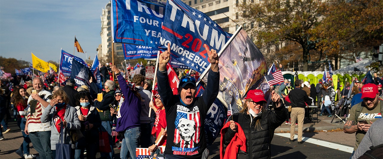 Huge pro-Trump crowds descend on DC for marches in support of president