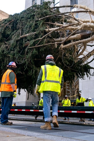 This was found INSIDE Christmas tree