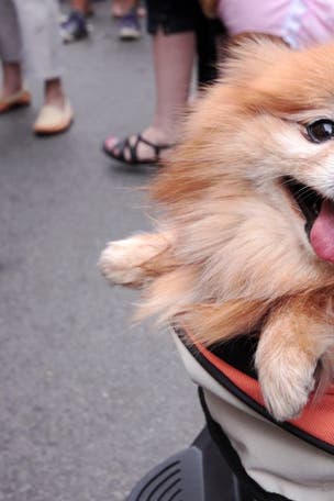 It's more common than you think…