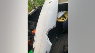Maui surfer bitten by shark dies in what marine biologist describes as 'very unusual' death