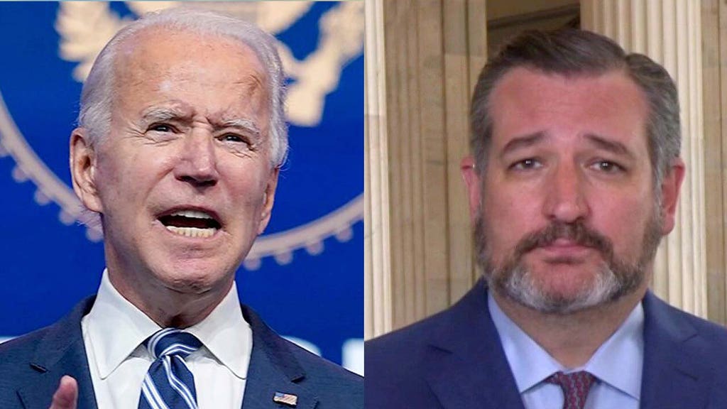 Cruz, Hawley fire back, accuse Biden of subtle ‘Nazi’ swipe
