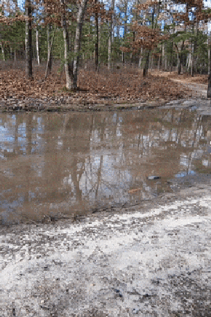 VERDICT: Land Rover Defender