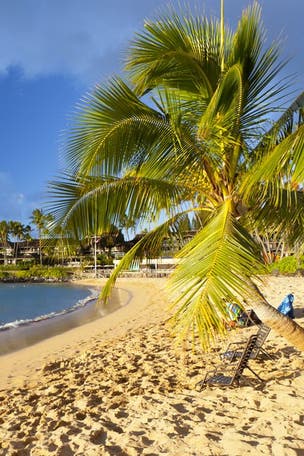 Island REQUIRING it