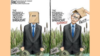 Political cartoon of the day: The man behind the ... bag?