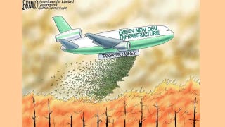 Political cartoon of the day: Burning money
