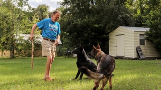 Man’s best friend: Dog alerts neighbor when owner has stroke