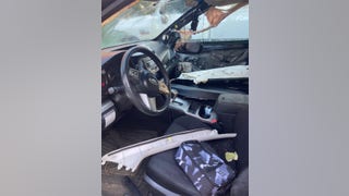 Bear gets trapped in car, destroys interior