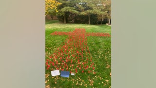 'I'll f---ing keep killing babies': Pro-life memorial vandalized, university investigating