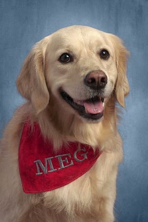 School dog gets 2nd YEARBOOK photo
