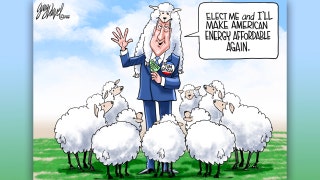 Political cartoons of the day