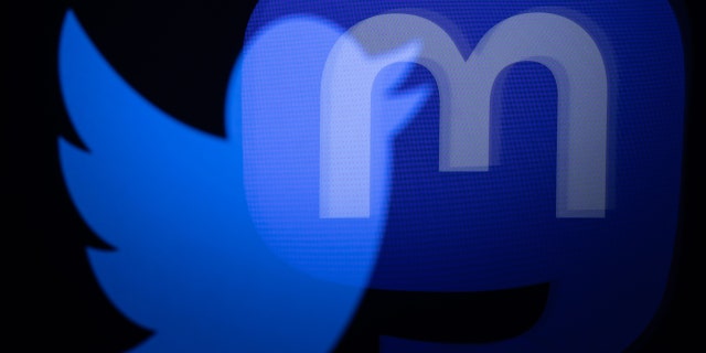 This photograph taken on November 7, 2022, shows the logos of social networks Twitter and Mastodon reflected in smartphone screens.