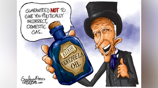 Political cartoons of the day