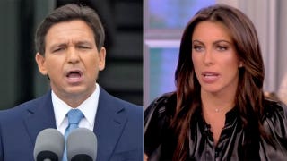 DeSantis' office rips 'The View' host for her 'dishonest and incorrect' claim he's 'erasing' Black history
